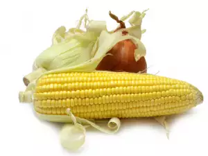 Corn