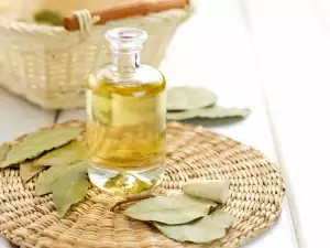 Bay Leaf Essential Oil