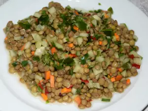 Dietary Salad with Lentils