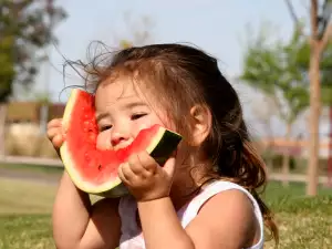 Are Watermelon Seeds Healthy?