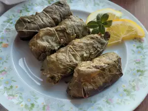 Greek Dolmades