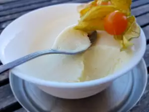 Homemade Ice Cream with Condensed Milk