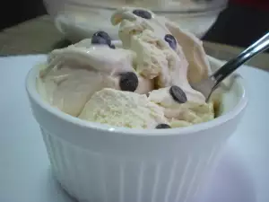 Homemade Vanilla Ice Cream with Chocolate Chips