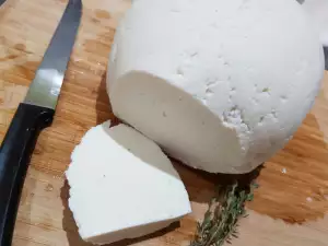 Homemade Sheep Milk Cheese