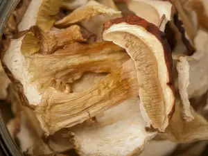 How to Store Dried Porcini Mushrooms?