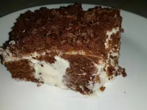 Porous Cake with Cream