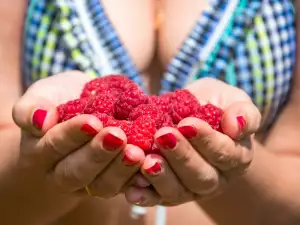 Why Must We Eat Raspberries?