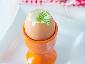 10 Facts about Eggs you May Not Know