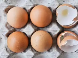 The Benefits of Eggs and Eggshells for Our Health