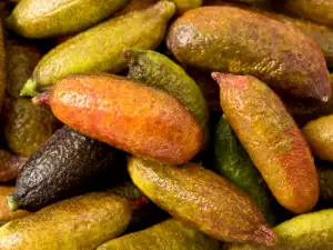 Finger Lime