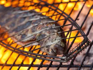 Grilling Bluefish