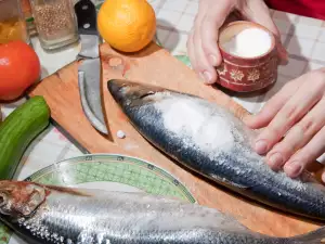 Salting of Fish