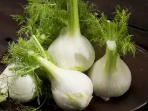 Fennel