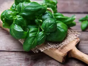 Good Memory Comes with Basil