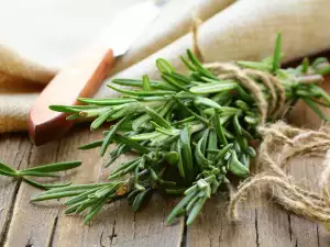 How to Store Fresh Rosemary?