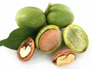 What Do Walnuts Contain?