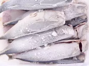 How to Defrost Fish?