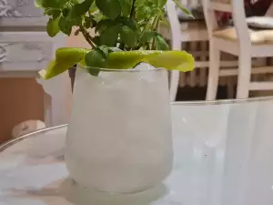 Gin Fizz Cocktail