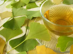 Ginkgo Biloba Tea