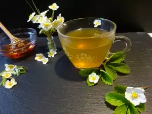 Healthy Wild Strawberry Tea