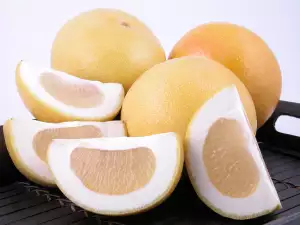 Grapefruit types