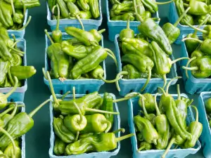 Green peppers