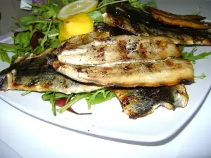 Grilled Herring Fillet with a Salad Mix