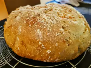 Bread with Sourdough and Quinoa