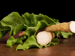 Horseradish Leaves - All Benefits and Uses