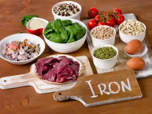 Absorption of Iron by the Body