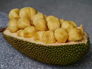 exotic jackfruit