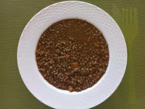 Brown Lentil Stew with Leeks and Parsnips