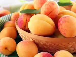 Apricots are the Perfect Breakfast During Summer