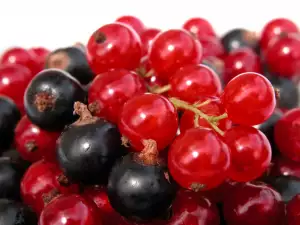 Six Health Benefits of Blackcurrants