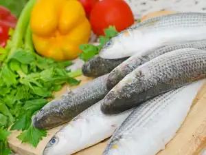 Flathead Grey Mullet