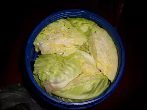 Sauerkraut without Decanting