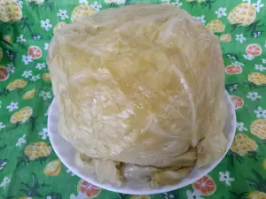 How to Make Sauerkraut?