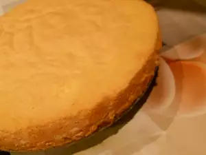 Classic Sponge Cake Layer