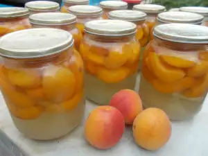 Apricot Compote with Geranium