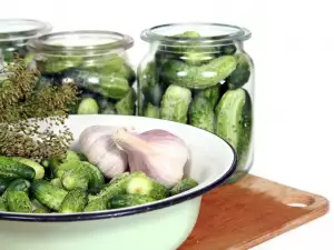 Gherkins in Brine