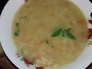 Dietary Vegetable Cream Soup