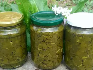 Dock in Jars with Himalayan Salt