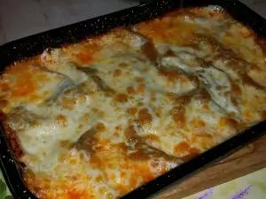 Appetizing Lasagna