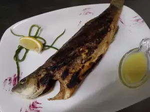 Grilled Sea Bass