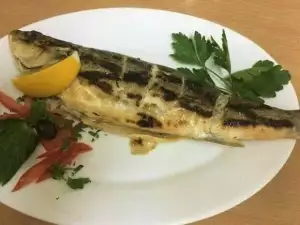 Whole Grilled Sea Bass