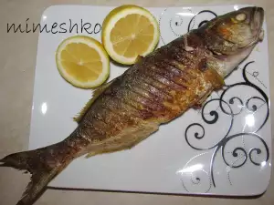 Grilled Bluefish