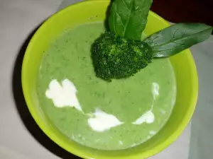 Light Green Cream Soup