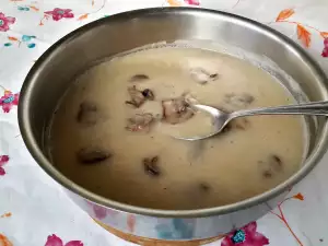 Light Mushroom Sauce