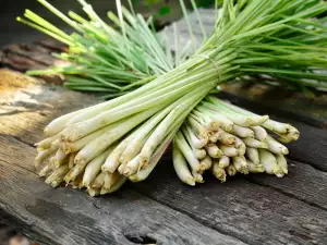 Culinary Use of Lemongrass