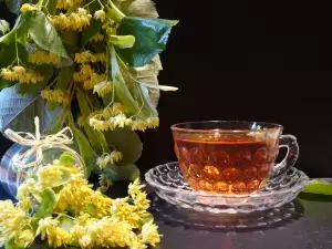 Linden Tea - Why Should We Drink it?